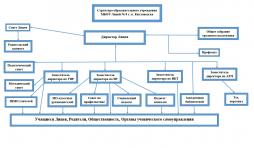 Структура управления образовательного учреждения МБОУ Лицей №8 г-к Кисловодска